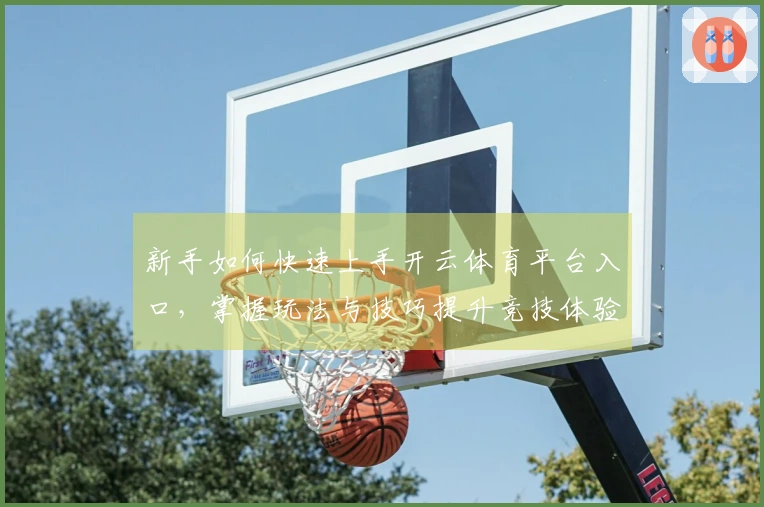 新手如何快速上手开云体育平台入口，掌握玩法与技巧提升竞技体验